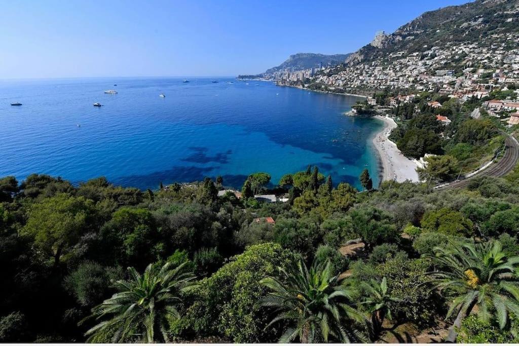Grand Bleu, Appartamento Vista Mare E Monaco Roquebrune-Cap-Martin Bagian luar foto